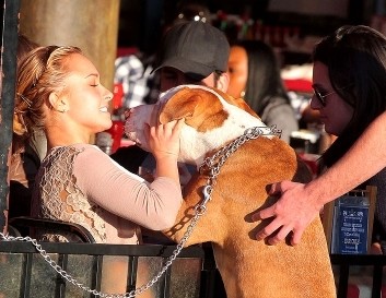 FOTO: Hayden Panettiere: Dobila je moker pasji poljub