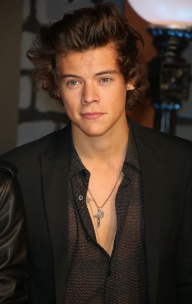 Harry Styles: Na sodišču premagal paparace!