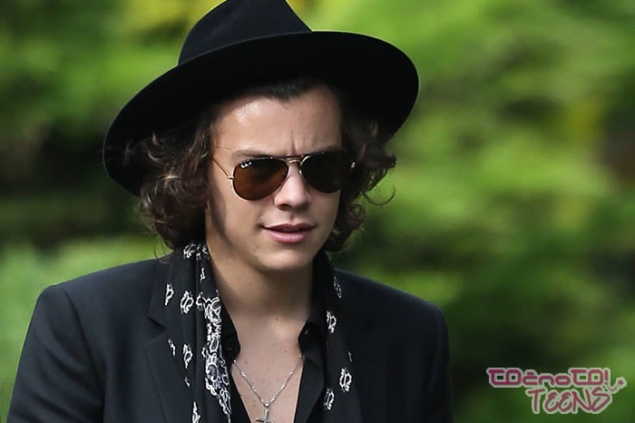 Harry Styles: ''Ja, imel bom še več klobukov!''