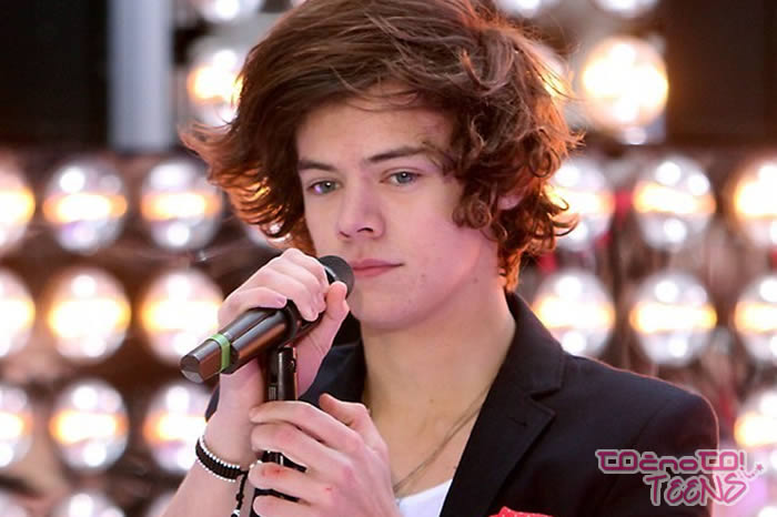 Harry Styles s kitkami: hor or not?!