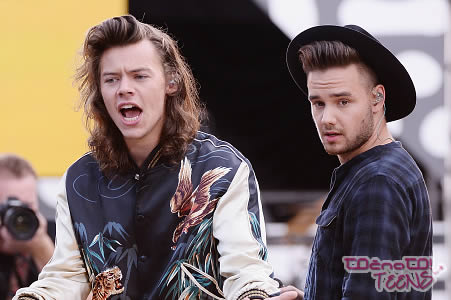 To je bil zadnji koncert skupine One Direction!