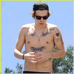 Harry iz 1D: Nabildati se hoče!