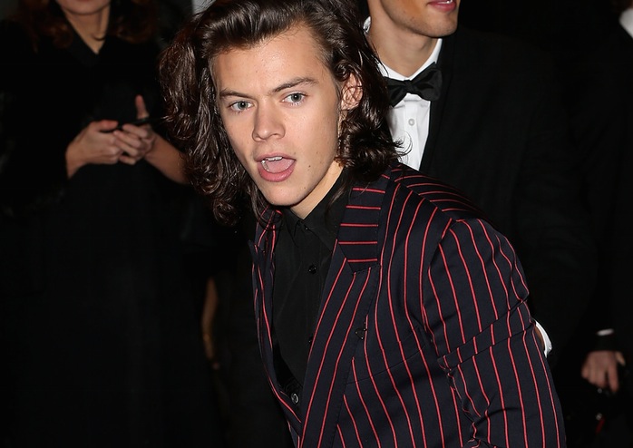 To si Harry Styles želi za božič!