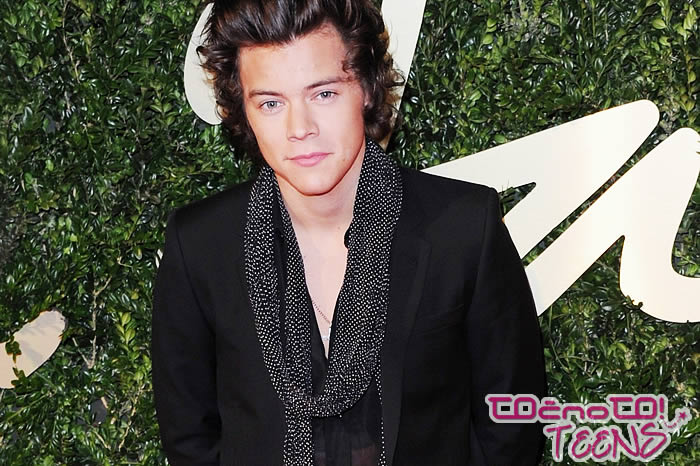 Bomo zgodbo Harryja Stylesa videli na velikem platnu?