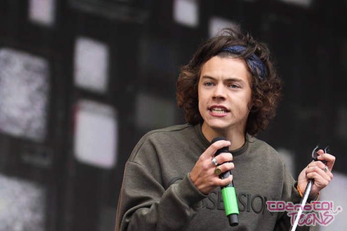 Harry besen na Zayna in Louisa zaradi videa!