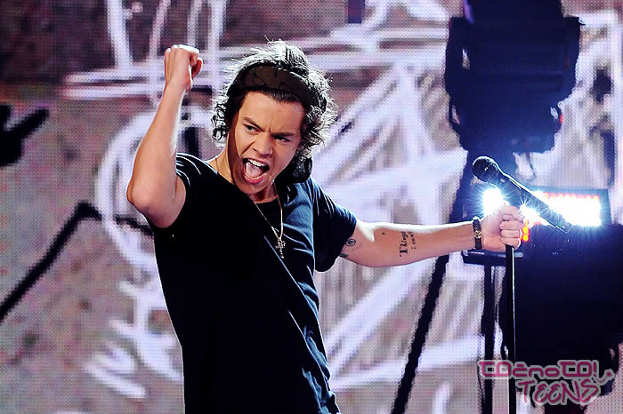 Harry Styles: Oboževalci so opazili, da nekaj ni bilo v redu!