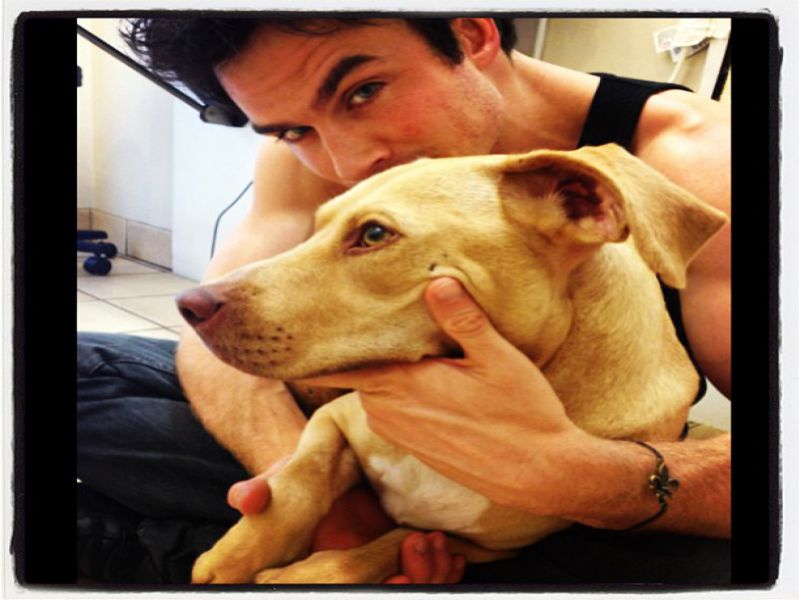 Ian Somerhalder: V njegovem življenju je nova gospodična!