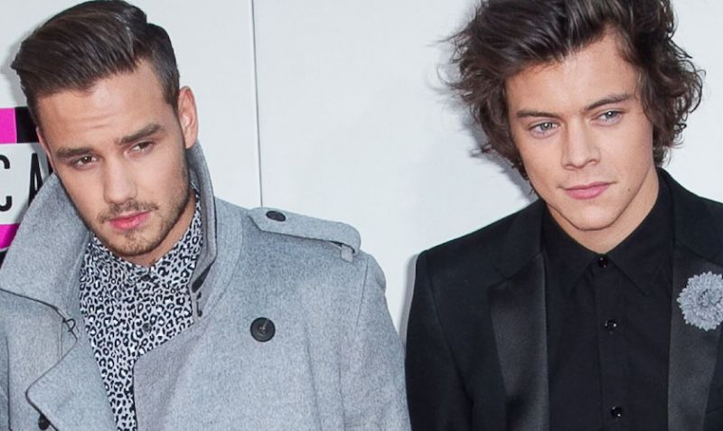 Liam Payne: Nikoli ne bi hotel biti Harry Styles!