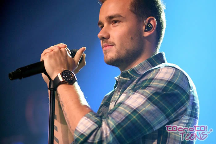 ONE DIRECTION: ''Užalili smo toliko ljudi!''