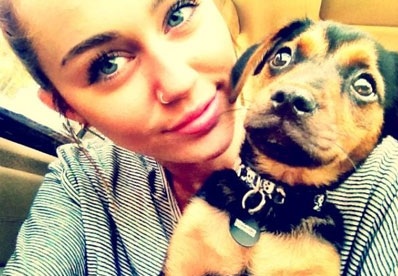 Foto: Miley Cyrus: Pokazala uhan v nosu!