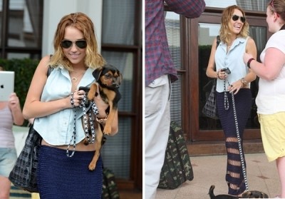 OCENI: Dolgo krilo Miley Cyrus: HOT ali NOT?