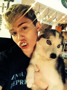Miley Cyrus: Lahko jo označite za lezbijko, ne pa tudi za grdo!