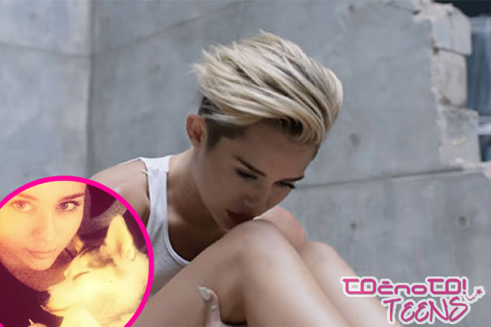 OBJOKANA Miley posvetila skladbo svojemu poginulemu psičku!