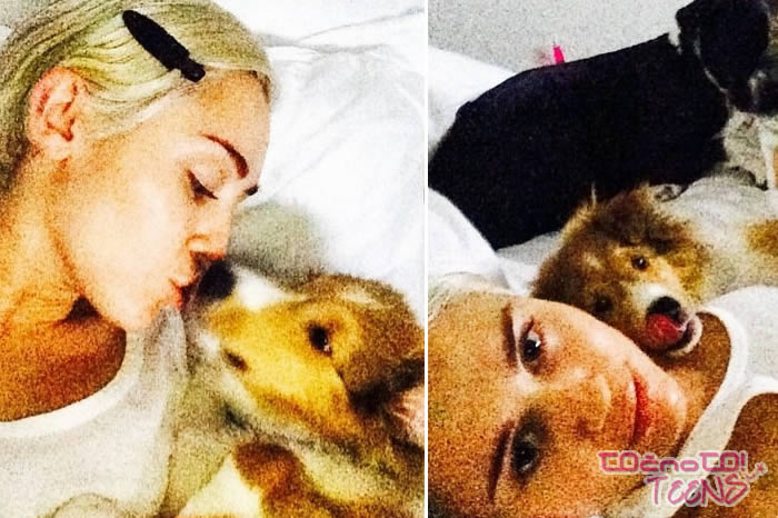 Miley preminulega psička počastila na poseben način!