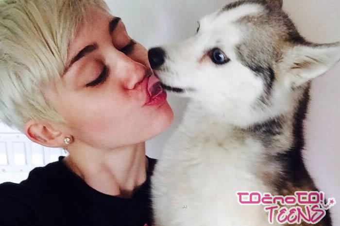 ŽALOSTNO: Poginil je Mileyjin psiček!