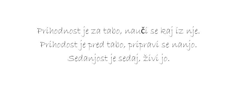 Misel dneva