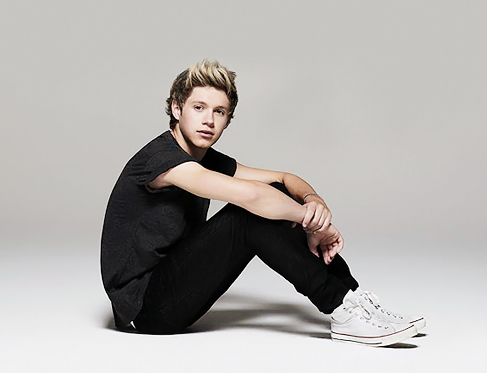 Niall Horan: Čaka ga operacija!