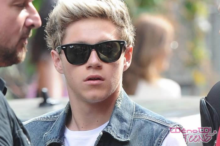 Niall razkril naslednji singel One Direction z albuma Four!