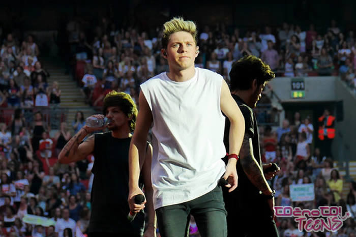 Niall Horan: Oboževalci, prosim, nehajte!