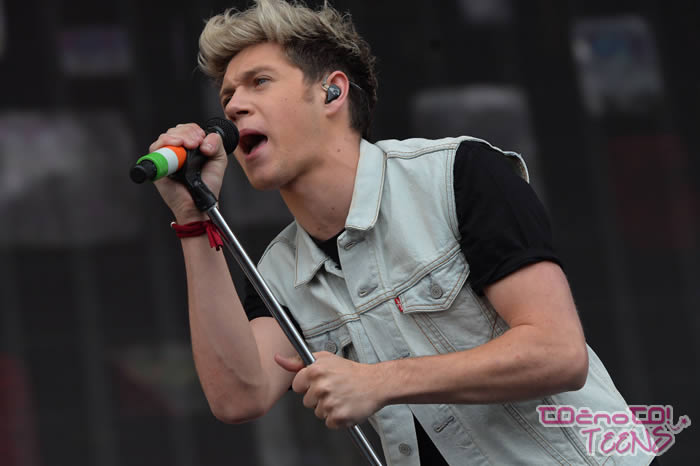 ŽIVČNOST! Niall Horan skoraj pobruhal super zvezdnika!