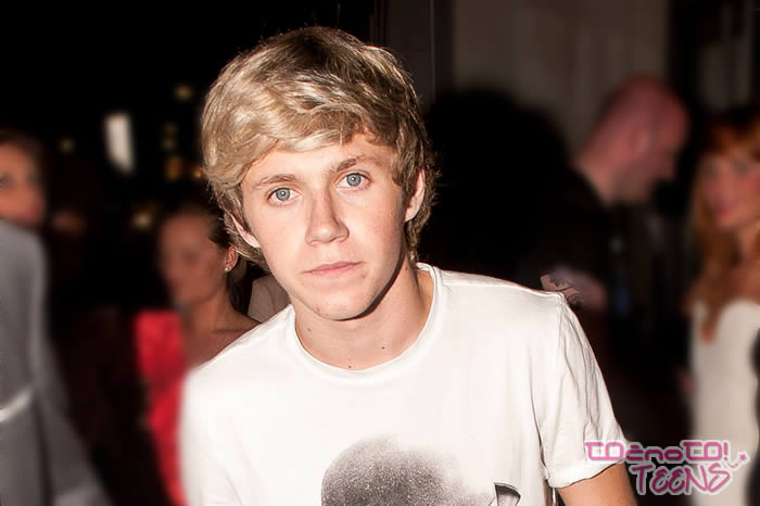 Niall Horan: Resnično preobremenjeni z delom?