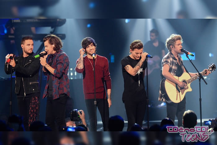 One Direction: ''Oboževalcev ne smeš jemati resno..''