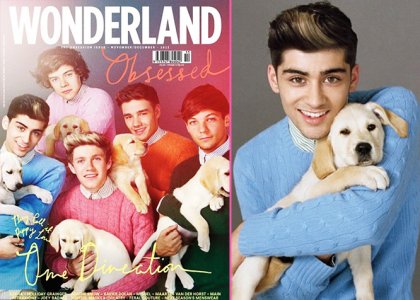 Preveč ljubko! One Direction: Pozirali s kužki!
