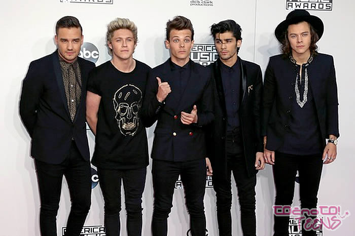1D: Stilistka razkrila, kje je črpala navdih za njihove videze!