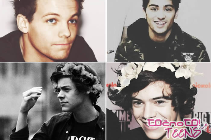 One Direction: TOP 20 slik s cvetjem v laseh!