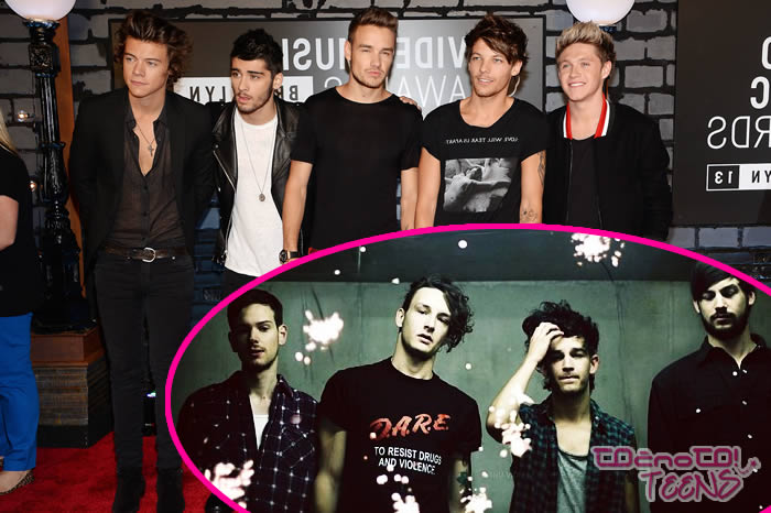 ''Sodelovati z One Direction bi bila nočna mora!''
