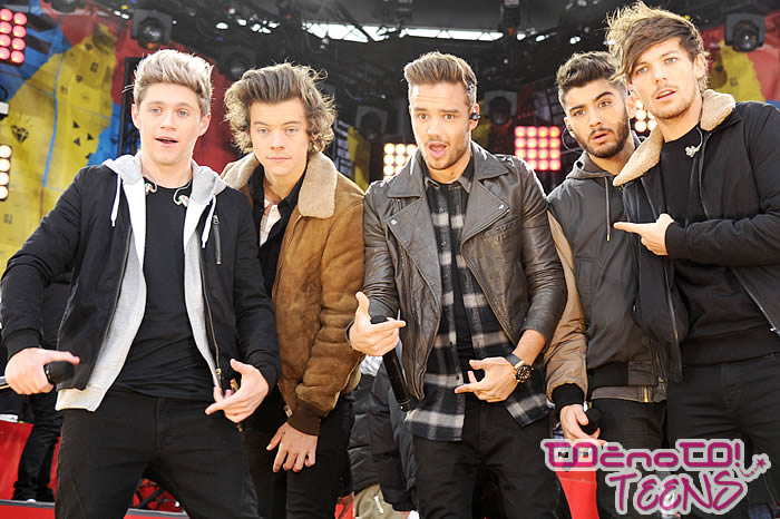 RAZKRIVAMO kdo od fantov One Direction zasluži največ!