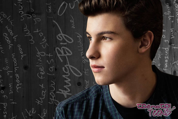 VIDEO! Shawn Mendes pokazal videospot za pesem A Little Too Much!