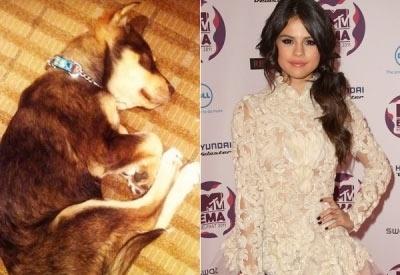 Šok! Selena Gomez: Njen posvojen psiček je skoraj umrl!