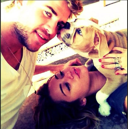 Miley Cyrus: Za Liama je že zavrnila filmske vloge!