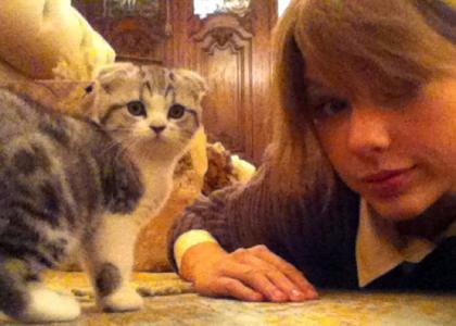 Foto: Taylor Swift ima novega kosmatega prijatelja