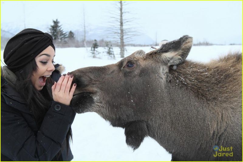 Foto: Vanessa Hudgens: Na Aljaski na polno uživala!