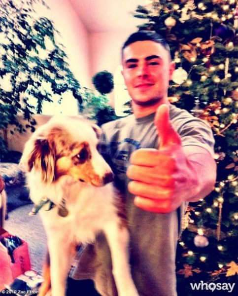 Foto: Zac Efron: Poglej si njegovega novega psa!