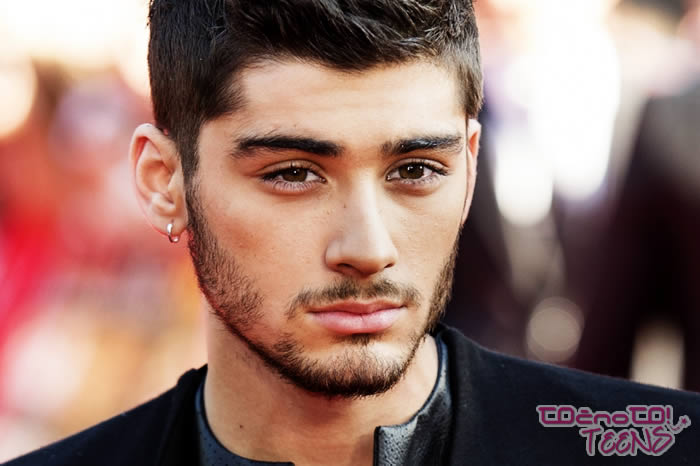 NAVELIČAN! Zayn Malik je naveličan tega!