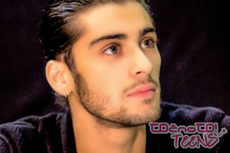 ''Zayn Malik je je***i idiot!''