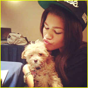 Zendaya: Botra psu Belle Thorne!