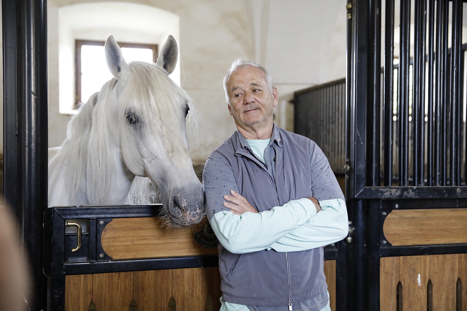 Bill-Murray-in-lipicanec