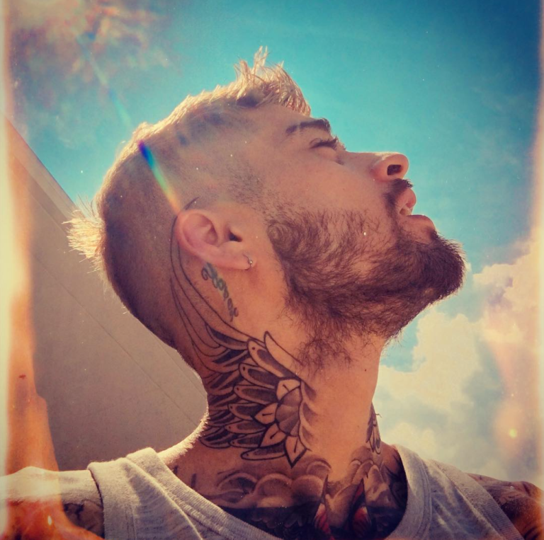 zayn1