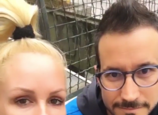 Zvezde plešejo: Za Špelo Grošelj se je dobro izteklo