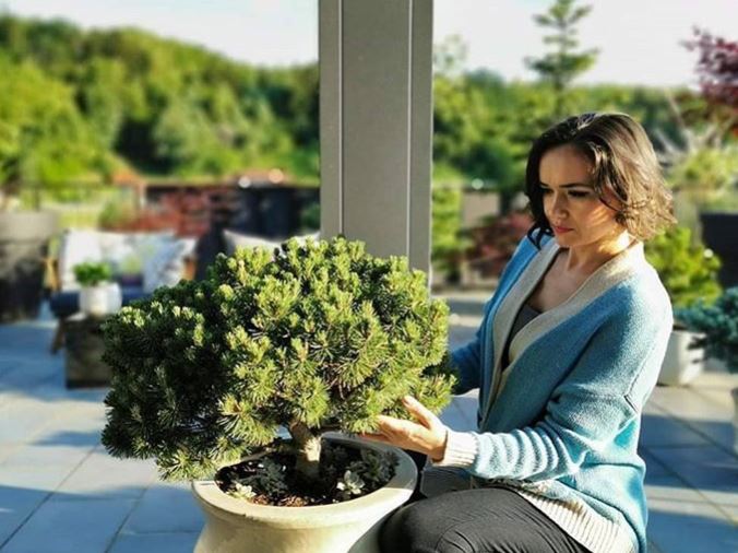 Alenka Košir Alenka Košir