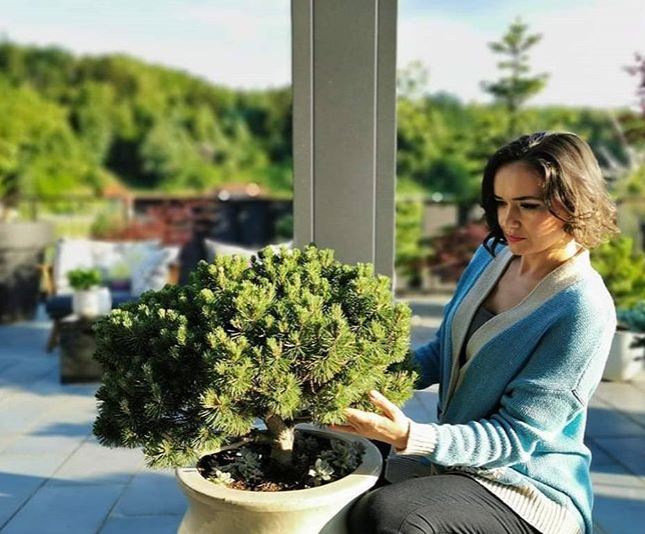 Alenka Košir