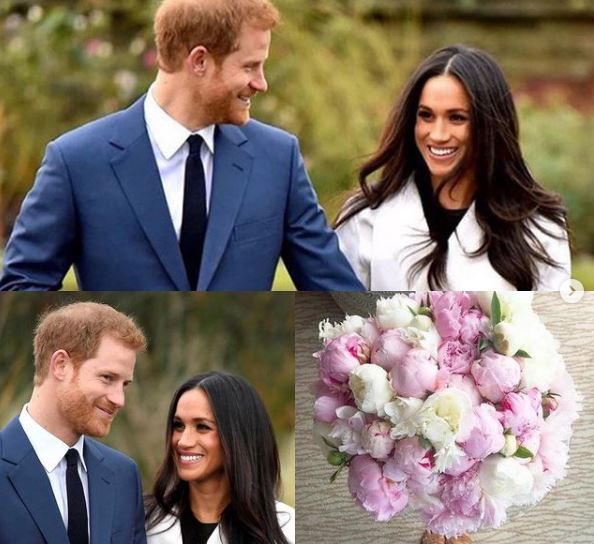 meghan markle meghan markle