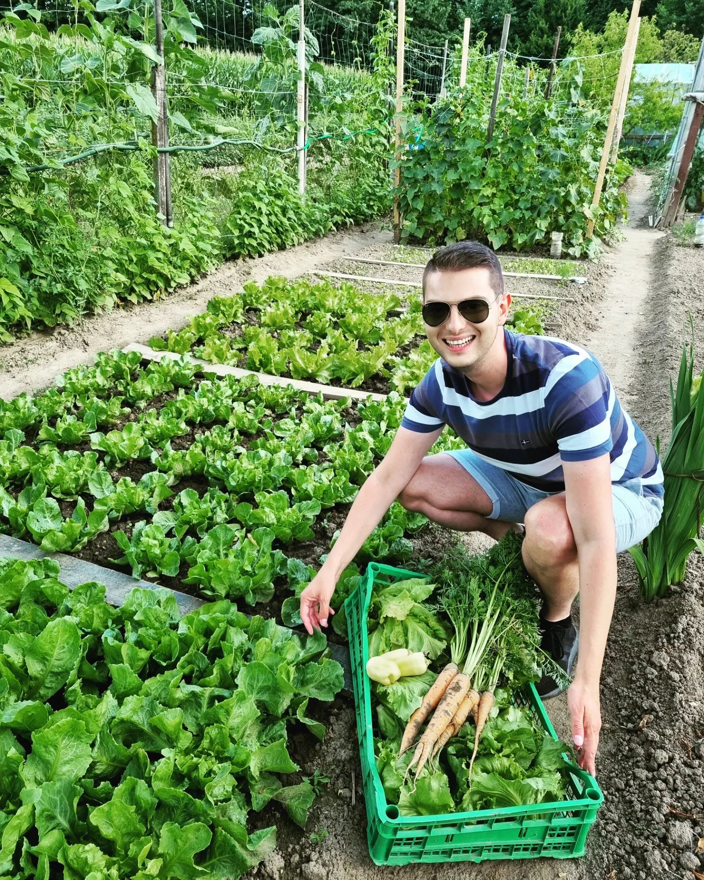 Damjan Murko na vrtu