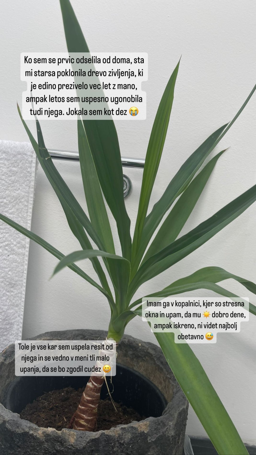 Nuša Lesar ima smolo z rastlinami. Vir: Instagram