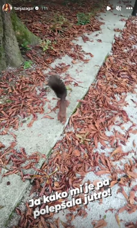 Tanja Žagar je v objektiv ujela ljubko veverico. Vir: Instagram