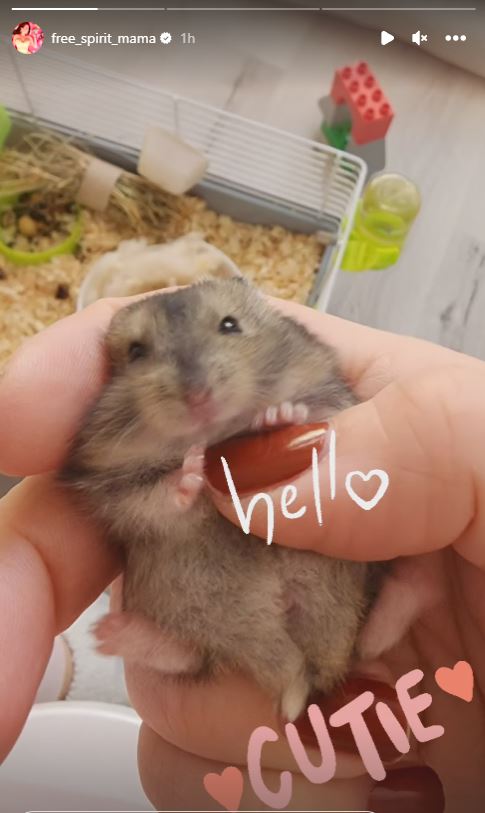 Iris je pokazala majhnega hrčka. Vir: Instagram